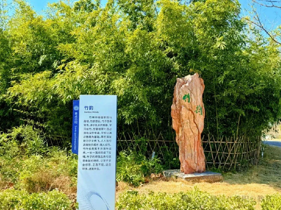 江蘇宿遷八維學(xué)校校園文化建設(shè)景觀上新啦