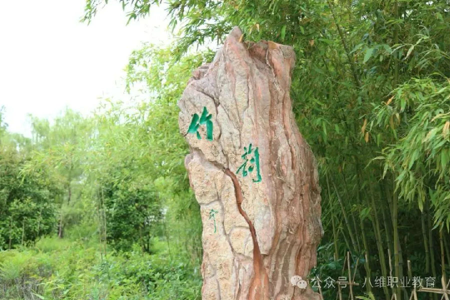 江蘇宿遷八維學(xué)校校園文化建設(shè)景觀上新啦