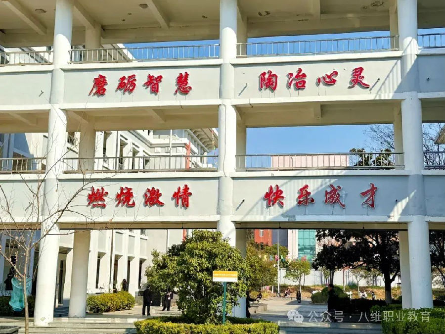 八維教育點燃職業教育新火花打造精英人才的夢幻搖籃